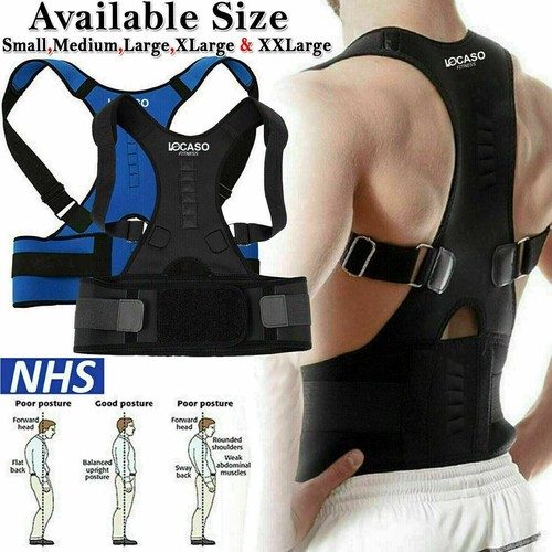 Magnetic back support - support, belt